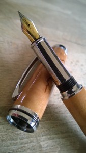 WP_20150425_17_54_20_Pro